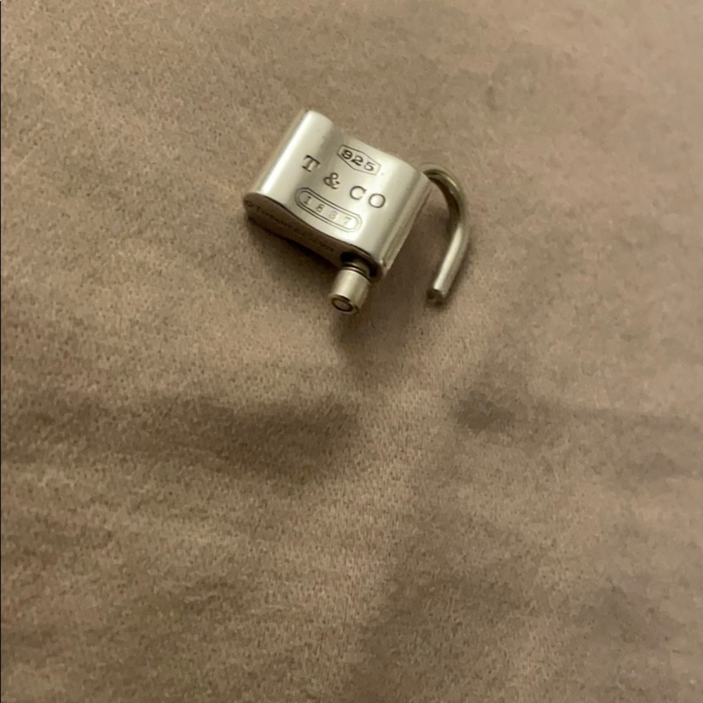 Tiffany co PRICE FIRM